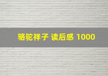 骆驼祥子 读后感 1000